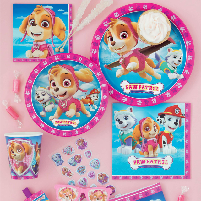 Paw Patrol Skye Birthday Party Supplies