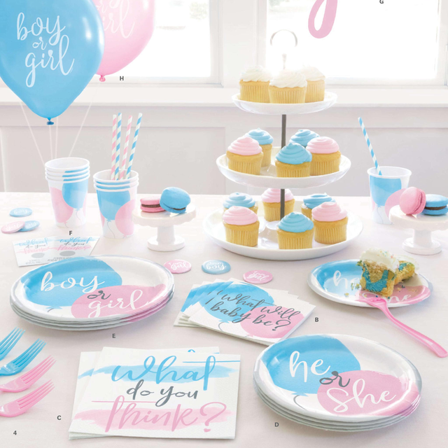 Gender Reveal Party Supplies