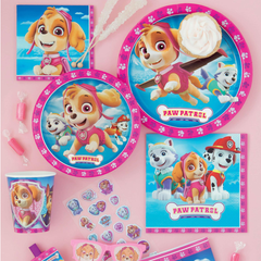 Collection image for: Paw Patrol Skye Birthday Party Supplies