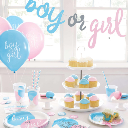 Blue or Pink Gender Reveal Banner, 7ft