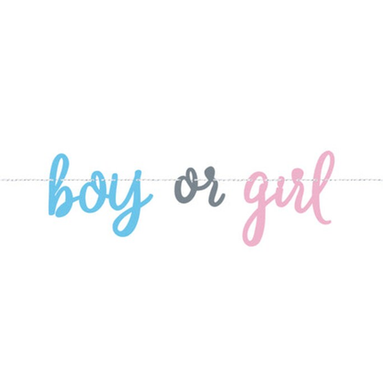 Blue or Pink Gender Reveal Banner, 7ft