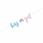 Blue or Pink Gender Reveal Banner, 7ft
