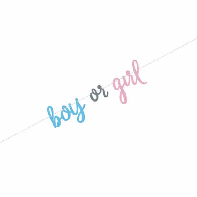 Blue or Pink Gender Reveal Banner, 7ft