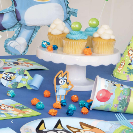 Bluey Cone Party Hats 8 ct