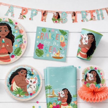 Disney Moana party supplies