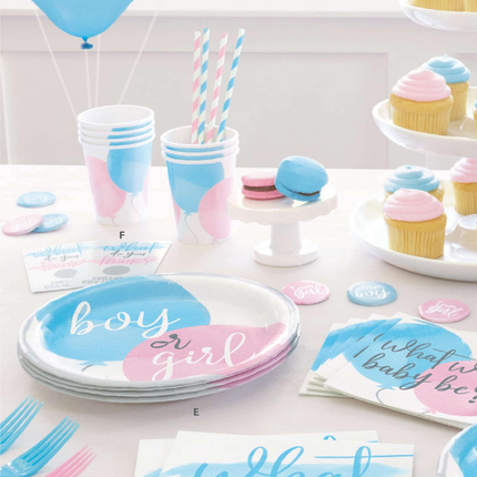 Gender Reveal Party Round Dinner Plates 9", 8ct