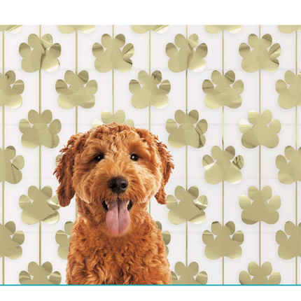 Gold Foil Paw Print Cutout Photo Backdrop 60" x 48"