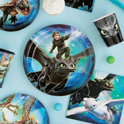How to Train Your Dragon™ 9" Dinner Plates 