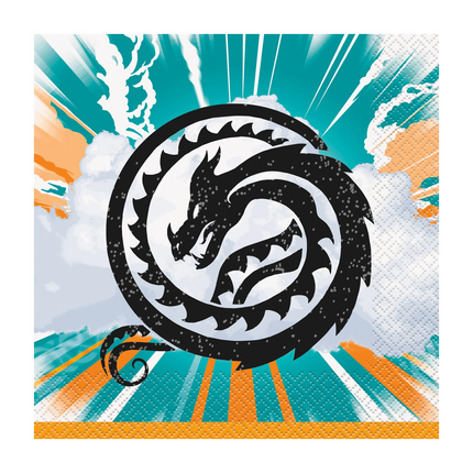 How to Train Your Dragon Lunch Napkins 16 ct
