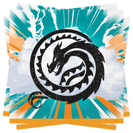 How to Train Your Dragon Lunch Napkins 16 ct - product detail included in the set