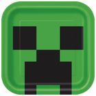 Minecraft Creeper Face Square Dinner Plates 9