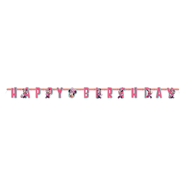 Minnie Mouse Happy Birthday Jointed Banner