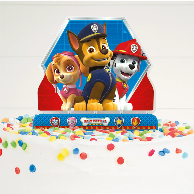 PAW Patrol LED Light Up Decoration