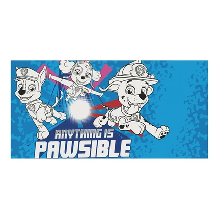 PAW Patrol Birthday Party Favor Kit, 48 Pieces