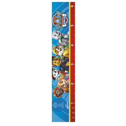 PAW Patrol Birthday Party Favor Kit, 48 Pieces