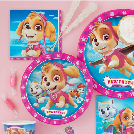 Paw Patrol Skye Girl Beverage Napkins 16 ct