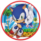 Sonic the Hedgehog Paper Party Dinner Plates 9