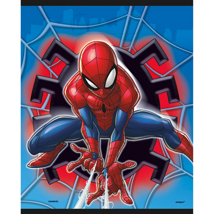 Spider Man Party Loot Bags