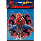 Spider Man Party Loot Bags