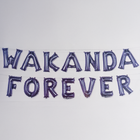 Black Panther™: Wakanda Forever Foil Balloon Set 