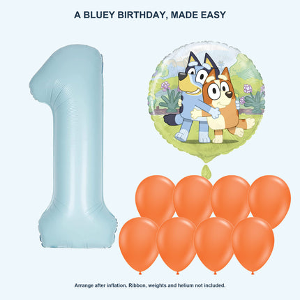 Bluey age 1 birthday balloon set - Coordinated balloon display