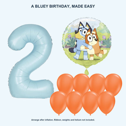 Bluey age 2 birthday balloon set - Coordinated balloon display