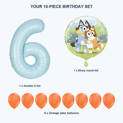 Bluey age 6 birthday balloon set - Exact set contents