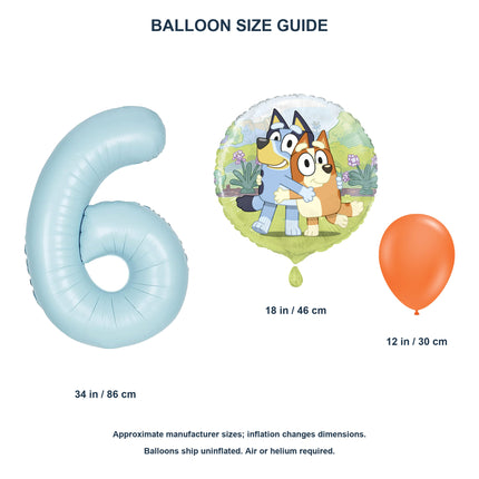 Bluey age 6 birthday balloon set - Balloon size guide