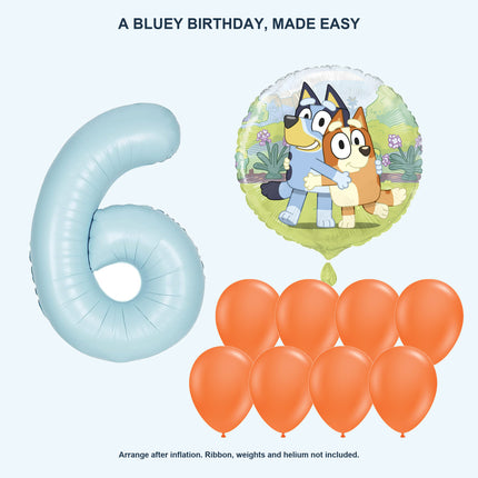 Bluey age 6 birthday balloon set - Coordinated balloon display
