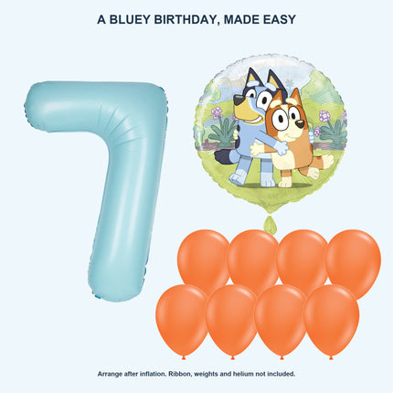 Bluey age 7 birthday balloon set - Coordinated balloon display