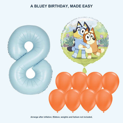 Bluey age 8 birthday balloon set - Coordinated balloon display