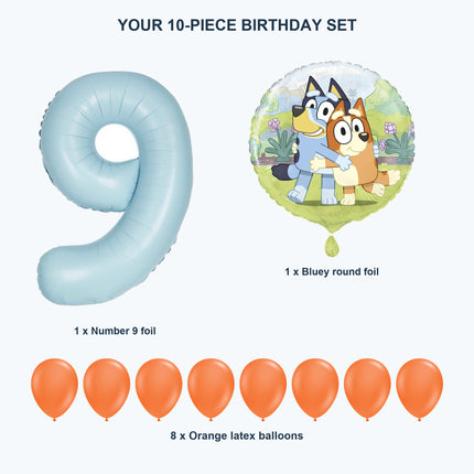 Bluey age 9 birthday balloon set - Exact set contents