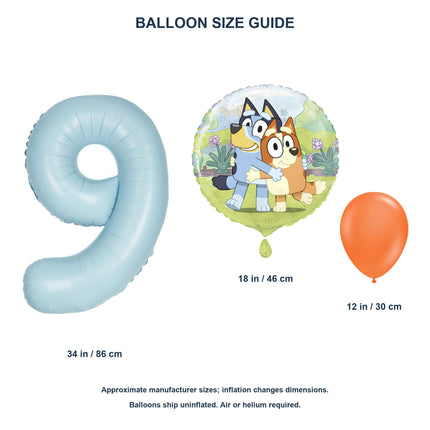 Bluey age 9 birthday balloon set - Balloon size guide