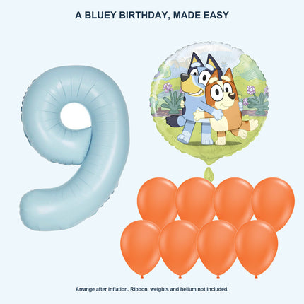Bluey age 9 birthday balloon set - Coordinated balloon display