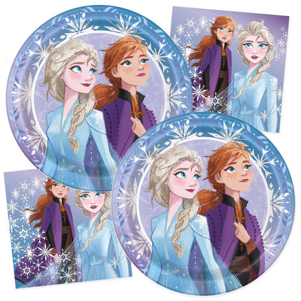 Frozen Dinner Plates and Napkins Set for 32 Guests - coordinated party set