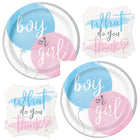 Gender Reveal Dinner Plates and Napkins Set for 16 Guests - set overview