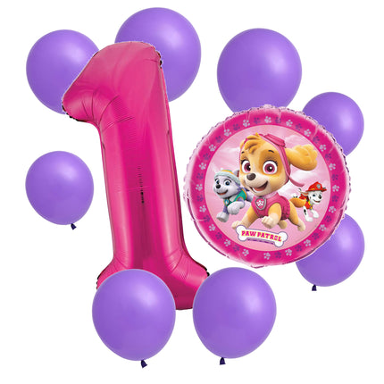 Paw Patrol Skye 1st birthday set main: number 1 foil, themed foil and 8 matching latex balloons