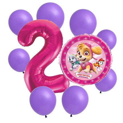 Paw Patrol Skye 2nd birthday set main: number 2 foil, themed foil and 8 matching latex balloons