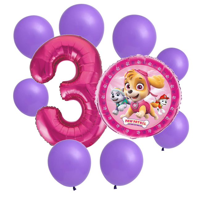 Paw Patrol Skye 3rd birthday set main: number 3 foil, themed foil and 8 matching latex balloons