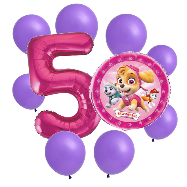 Paw Patrol Skye 5th birthday set main: number 5 foil, themed foil and 8 matching latex balloons