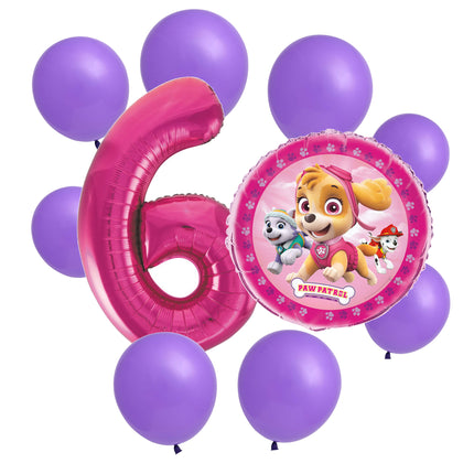 Paw Patrol Skye 6th birthday set main: number 6 foil, themed foil and 8 matching latex balloons