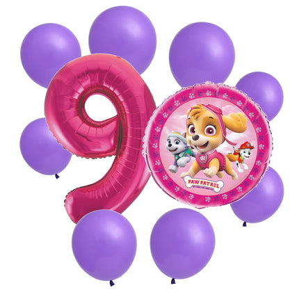 Paw Patrol Skye 9th birthday set main: number 9 foil, themed foil and 8 matching latex balloons