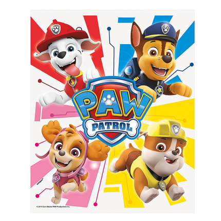 Paw Patrol Loot Bags 8 ct