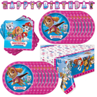 Skye Paw Patrol Birthday Party Decorations - Serves 16