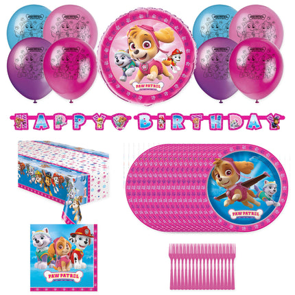 Skye PAW Patrol party set for 16 - plates, napkins, table cover, banner, balloons and forks