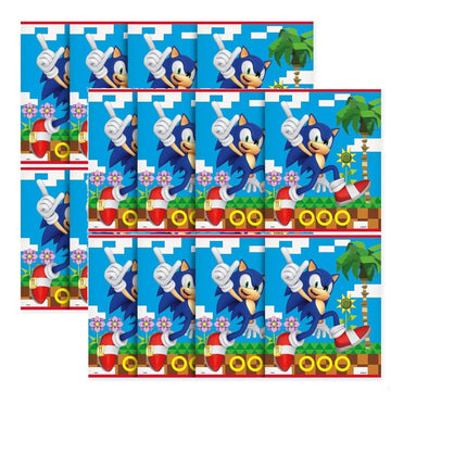Sonic Party Favor Bags, 16 Count Bundle - coordinated party set